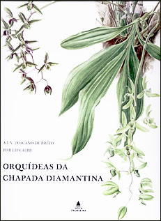 Orquideas Bravas [1929]