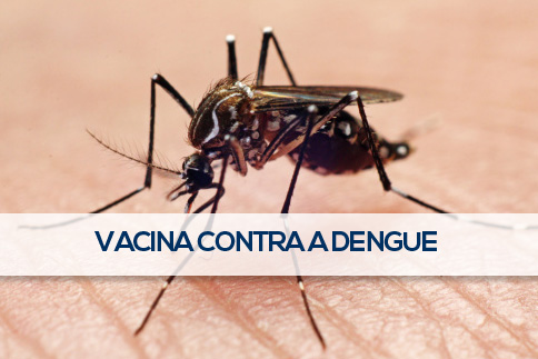 vacina-contra-dengue-butanta